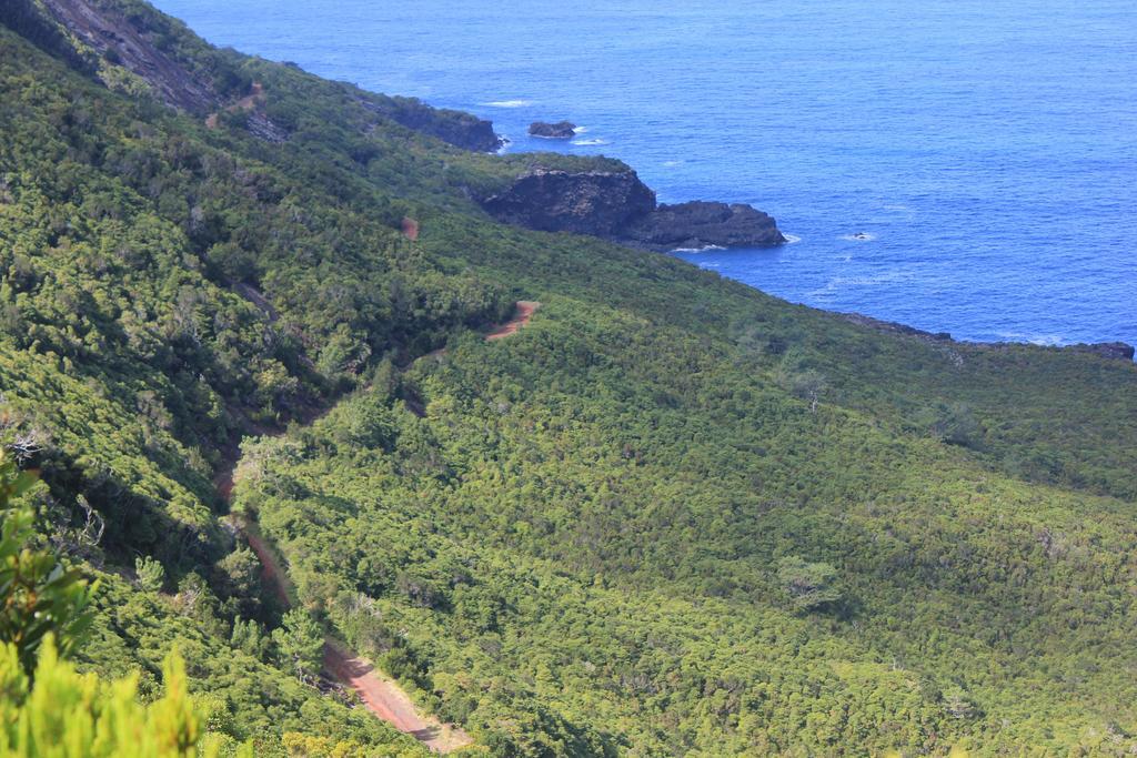 Villa Adega Do Mirante São Roque do Pico Zimmer foto